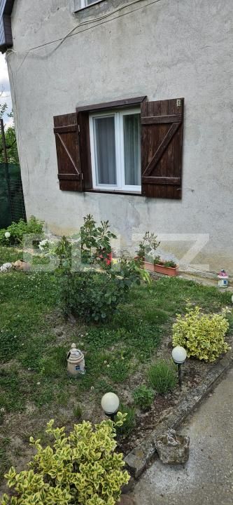 Casa de vânzare 4 camere Viile Satu Mare - 195899CV | BLITZ Satu Mare | Poza12