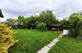 Casa cu livada si teren generos, 104 mp – Micula