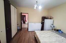 Casa cu livada si teren generos, 104 mp – Micula