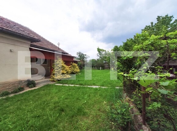 Casa de vânzare 3 camere Nord - 196173CV | BLITZ Satu Mare | Poza21