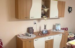 Casa de vânzare 1 camera Domanesti - 203387CV | BLITZ Satu Mare | Poza1