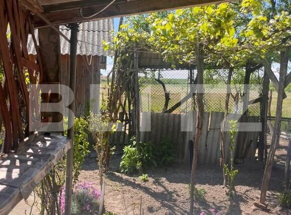 Casa de vânzare 2 camere Vest - 196174CV | BLITZ Satu Mare | Poza3