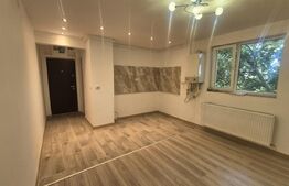 Apartament cu 2 camere de vanzare, 30.57 mp, Micro 14