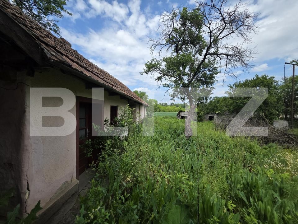 Casa de vânzare 2 camere Exterior Nord - 196262CV | BLITZ Satu Mare | Poza3
