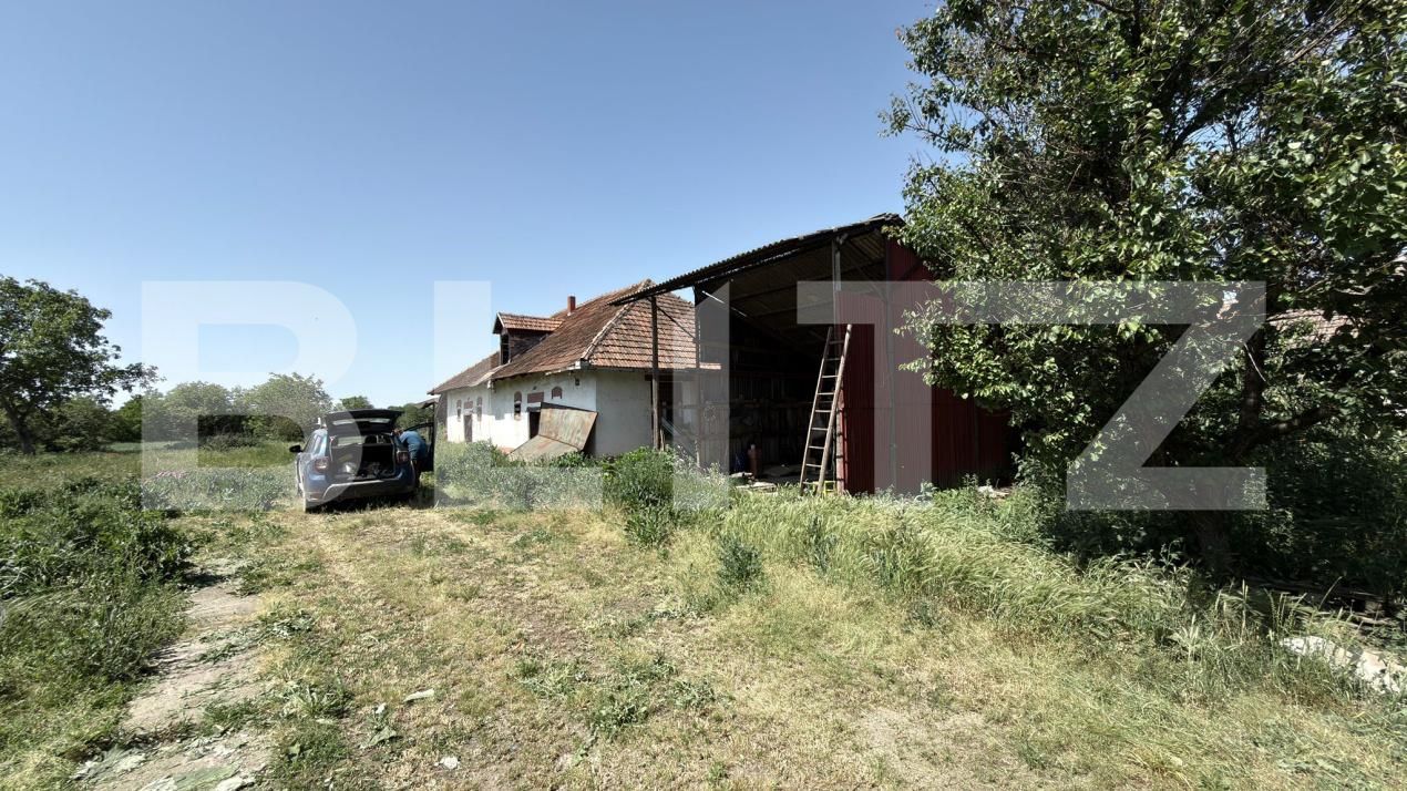 Casa de vânzare 3 camere Vetiş - 196328CV | BLITZ Satu Mare | Poza4
