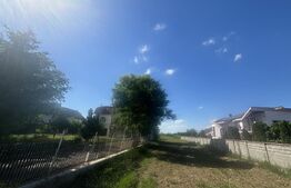 Teren de vanzare, 8300 mp, zona Botizului 
