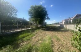 Teren de vanzare, 8300 mp, zona Botizului 