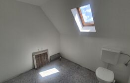 Casa cu 3 dormitoare de vanzare, 150 mp, teren 1345 mp, localitatea Lazuri