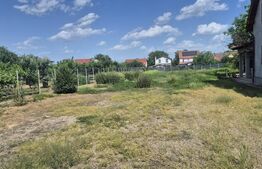 Casa cu 3 dormitoare de vanzare, 150 mp, teren 1345 mp, localitatea Lazuri