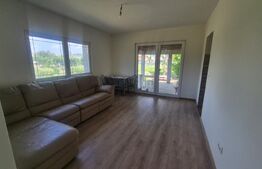 Casa cu 3 dormitoare de vanzare, 150 mp, teren 1345 mp, localitatea Lazuri