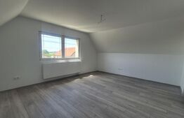 Casa cu 3 dormitoare de vanzare, 150 mp, teren 1345 mp, localitatea Lazuri