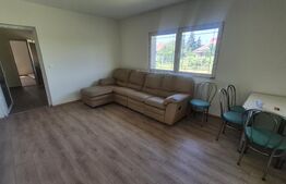 Casa cu 3 dormitoare de vanzare, 150 mp, teren 1345 mp, localitatea Lazuri