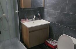 Garsoniera de inchiriat,renovata si utilata,zona Closca,21mp.