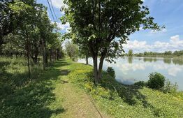 Teren cu livada si lac populat cu peste, 37.620 mp, zona Oar - Vetis
