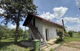 Teren cu livada si lac populat cu peste, 37.620 mp, zona Oar - Vetis