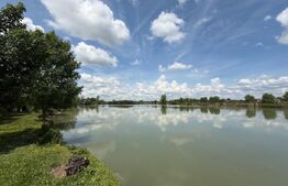 Teren cu livada si lac populat cu peste, 37.620 mp, zona Oar - Vetis
