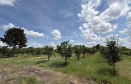 Teren cu livada si lac populat cu peste, 37.620 mp, zona Oar - Vetis