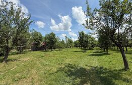 Teren cu livada si lac populat cu peste, 37.620 mp, zona Oar - Vetis