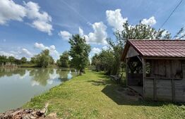 Teren cu livada si lac populat cu peste, 37.620 mp, zona Oar - Vetis
