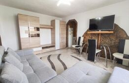 Apartament 2 camere renovat, 46 mp, mobilat, zona Prahova