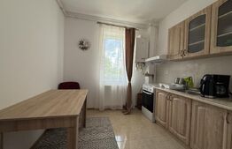 Apartament 1 camera, 46.43 mp, zona Paulesti