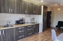Apartament de închiriat 2 camere Carpati 2 - 197711AI | BLITZ Satu Mare | Poza2