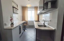 Apartament 2 camere, 50 mp, AC, balcon, zona Centrala