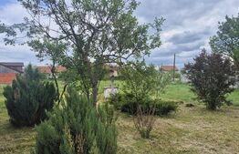 Casa de vanzare, 120 mp, teren 2918 mp, zona Doba