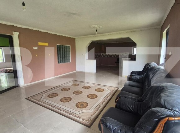 Casa de vânzare 3 camere Vetiş - 197195CV | BLITZ Satu Mare | Poza10