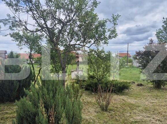 Casa de vânzare 3 camere Vetiş - 197195CV | BLITZ Satu Mare | Poza19