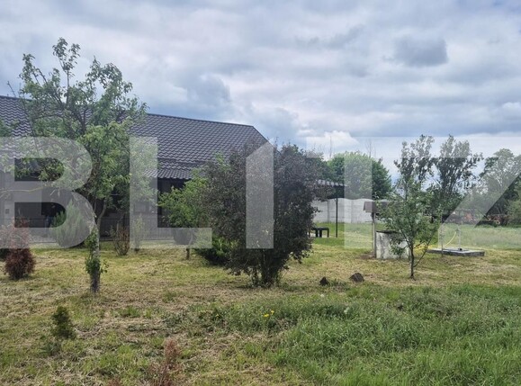 Casa de vânzare 3 camere Vetiş - 197195CV | BLITZ Satu Mare | Poza16