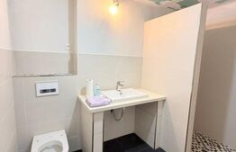Penthouse 100 mp, terasă panoramică de 124 mp, zona Titulescu