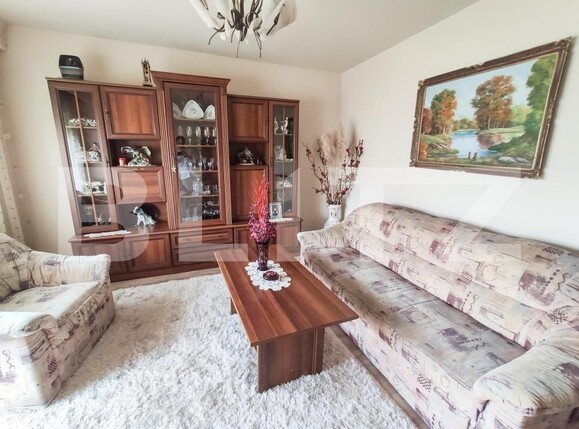 Apartament de vânzare 2 camere Micro 16 - 197301AV | BLITZ Satu Mare | Poza3