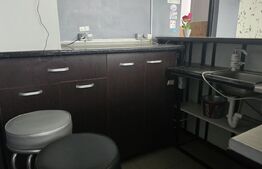 Spațiu comercial + teren, 210 mp, zonă Ultracentrala
