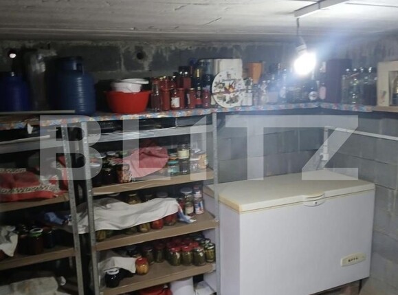Casa de vânzare 4 camere Paulesti - 197483CV | BLITZ Satu Mare | Poza21