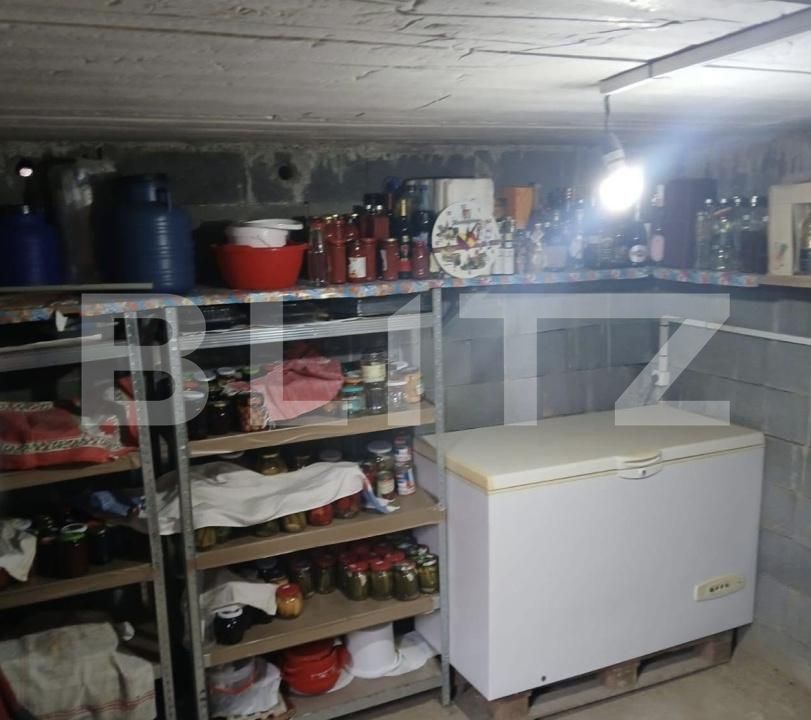 Casa de vânzare 4 camere Paulesti - 197483CV | BLITZ Satu Mare | Poza21