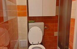 Apartament cu 2 camere de vanzare, 62 mp, zona Central