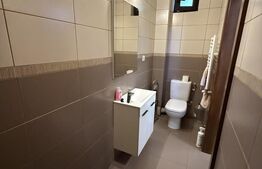 Pachet imobiliar , două garsoniere, 55.18 mp , zona Centrală