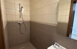 Pachet imobiliar , două garsoniere, 55.18 mp , zona Centrală