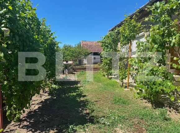 Casa de vânzare 3 camere Craidorolt - 197663CV | BLITZ Satu Mare | Poza3