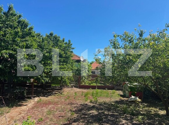 Casa de vânzare 3 camere Craidorolt - 197663CV | BLITZ Satu Mare | Poza2