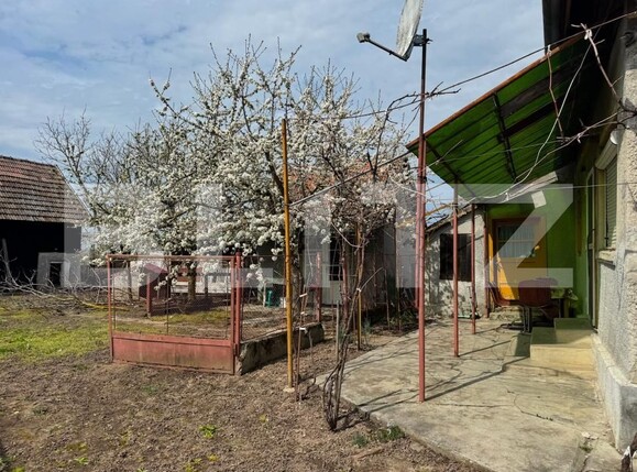 Casa de vânzare 3 camere Craidorolt - 197663CV | BLITZ Satu Mare | Poza4