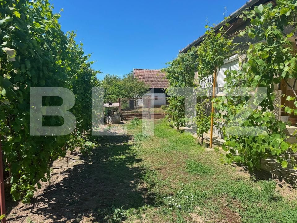 Casa de vânzare 3 camere Craidorolt - 197663CV | BLITZ Satu Mare | Poza3