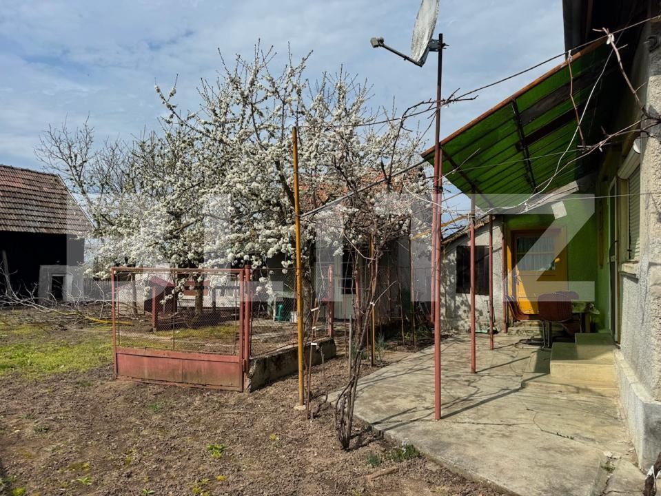 Casa de vânzare 3 camere Craidorolt - 197663CV | BLITZ Satu Mare | Poza4