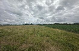 Teren extravilan 5000 mp de vânzare – zona Amati 
