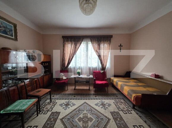 Casa de vânzare 6 camere Nord - 197735CV | BLITZ Satu Mare | Poza1