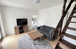 Casă 300 mp – teren 760 mp, zona Luceafarului - stadion Olimpia
