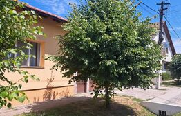 Casa 500 mp, spatiu comercial 122 mp, teren  7900mp - Botiz
