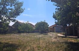 Casa 500 mp, spatiu comercial 122 mp, teren  7900mp - Botiz