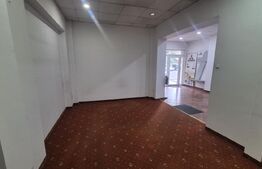 Spatiu comercial de vanzare, 48.59 mp, Micro 16